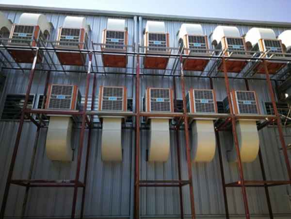 1635994544146598.jpg 6.jpg